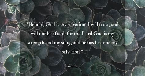 philippians 2:12 nlt|30 Bible Verses on Worry for a Weary Mind .